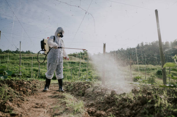 Best Ant Control Services  in Alderton, WA