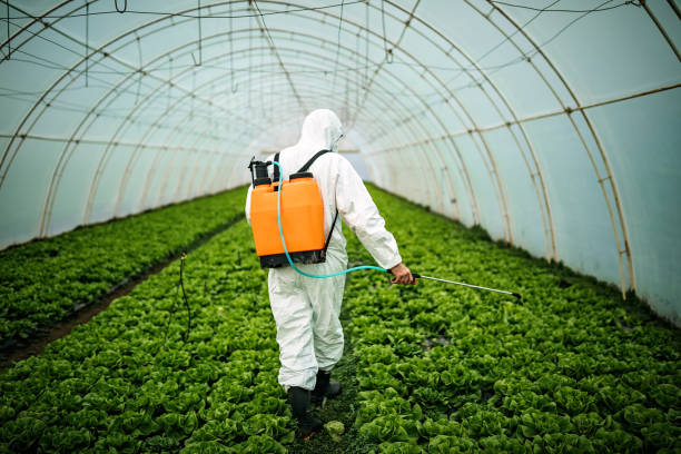 Pest Control for Restaurants in Alderton, WA