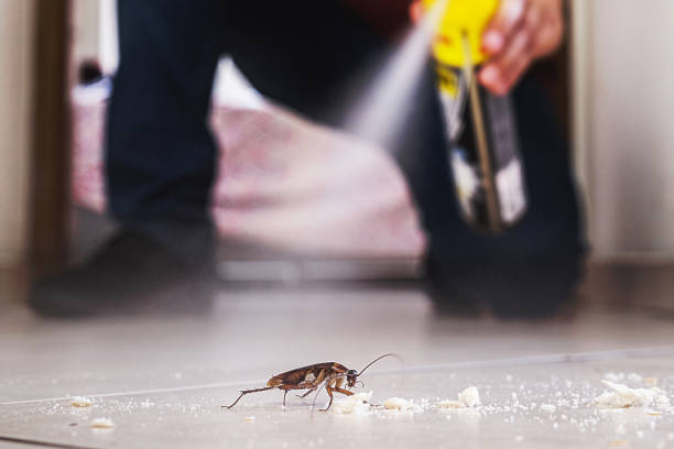 Professional Pest Control in Alderton, WA
